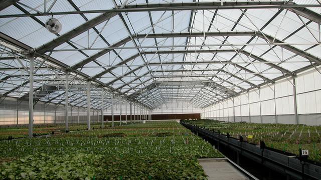 Nesli tehlikede olan flora türleri için yeni laboratuvar