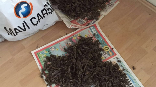 Tekirdağ’da uyuşturucu operasyonu