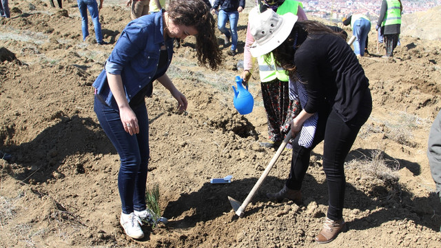 Yaban hayvanları için meyve fidanı dikildi