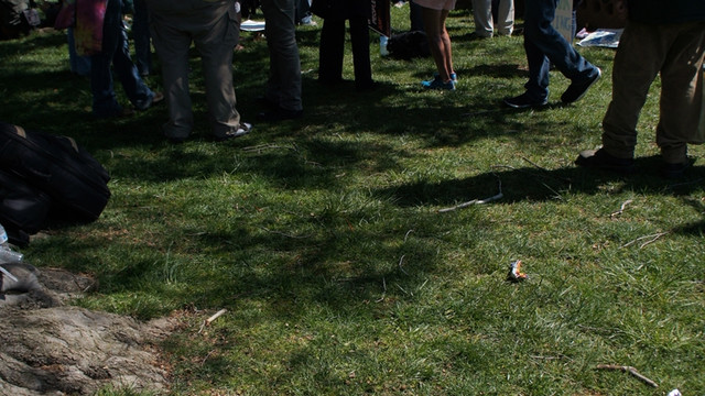 ABD'de Demokrasi Baharı gösterileri