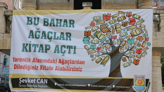 Ağaçlara asılan kitaplara yoğun ilgi