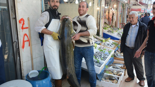 Ağlara 130 kilogram balık takıldı