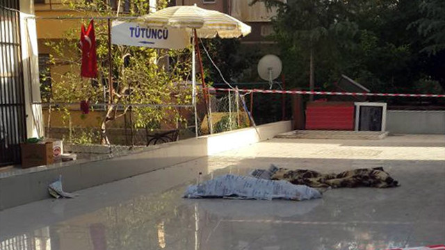 Alanya'da Suriyeli 2 çocuk 5. kattan düşerek öldü