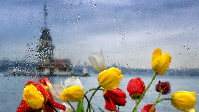 11inci İstanbul Lale Festivali başladı