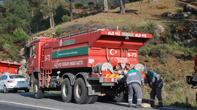 Aydında orman yangını