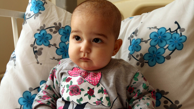 Bebek Nehir'in hayata tutunması ilik nakline bağlı