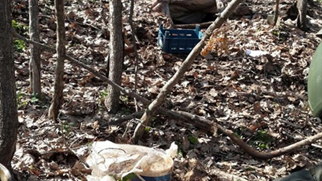 Bingöl'de terör örgütüne yönelik operasyon