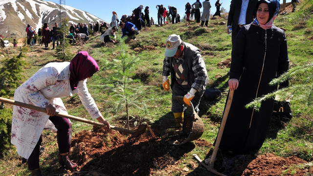 Bitlis'e AK Kadınlar Kardeşlik Ormanı