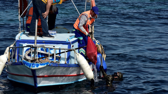 Bodrumda deniz ve kıyı temizliği etkinliği