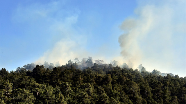 Bodrum'daki orman yangını söndürüldü