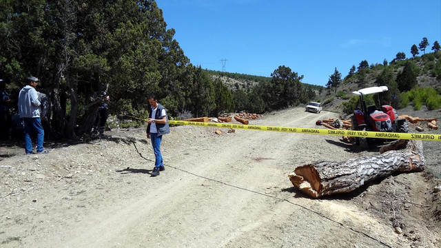 Burdur'da ağaç kesen işçi hayatını kaybetti