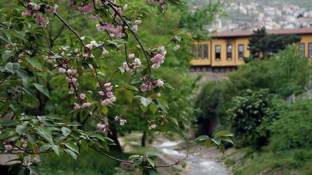 Güney Marmara'da hava sıcaklıkları artıyor