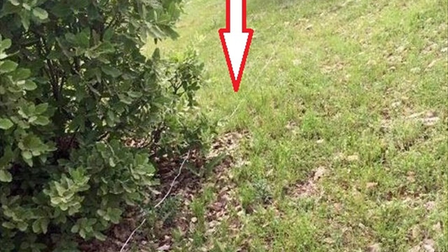 Diyarbakır'da terör operasyonu