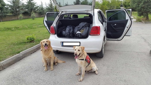 Diyarbakır'da uyuşturucu operasyonu