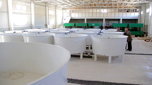 Elazığ Su Ürünleri Ar-Ge Merkezi açılıyor