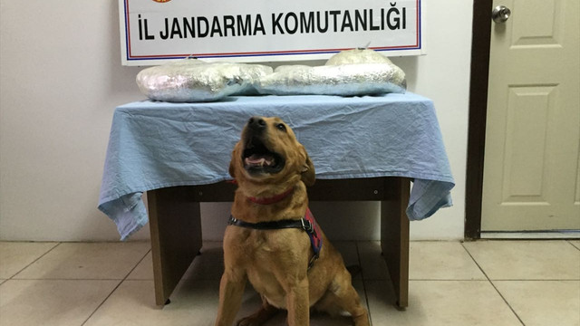 Elazığ'da uyuşturucu ile mücadele