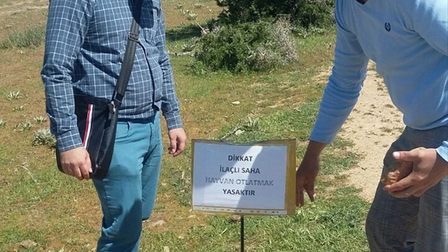 Eşme'de çekirge ile mücadele