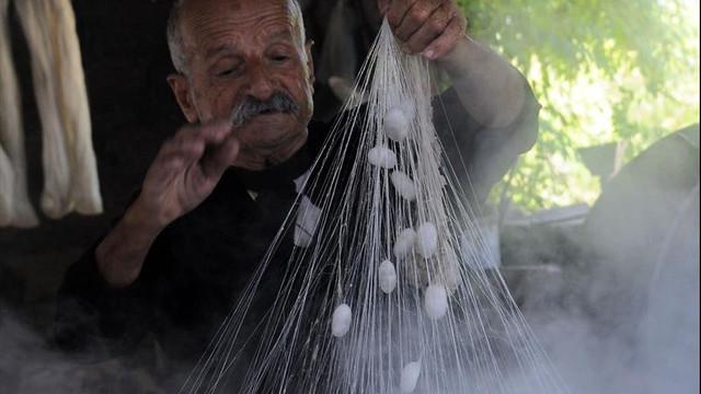 Hatayda ipek üretimi geleneksel yöntemlerle yapılıyor
