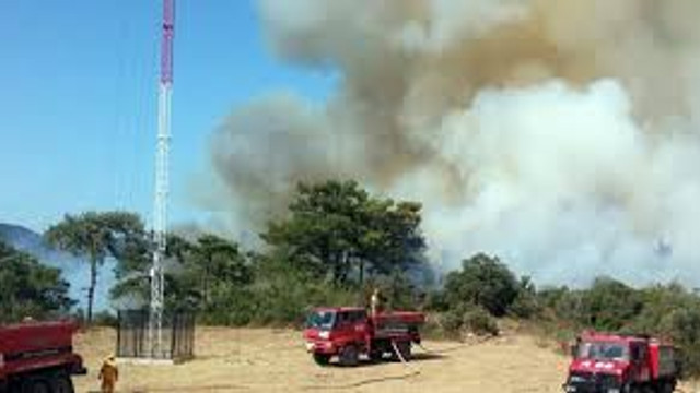 Muğlada orman yangını