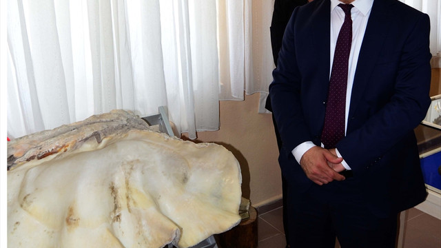 İş adamından üniversiteye 1 milyon yıllık fosil bağışı