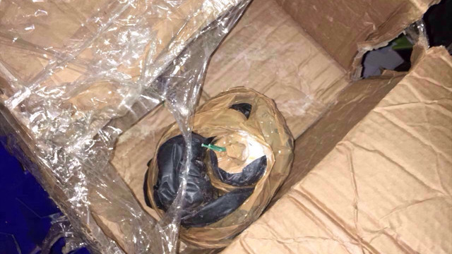 İstanbul'daki terör ögrütü operasyonları