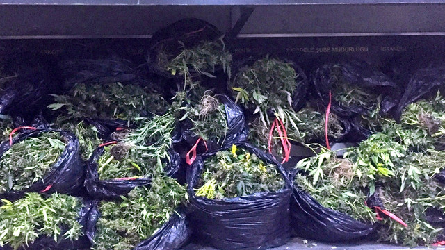 İstanbul'da uyuşturucu operasyonu