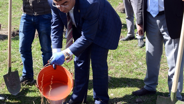 Karsta ayılar için ormana meyve fidanı dikildi