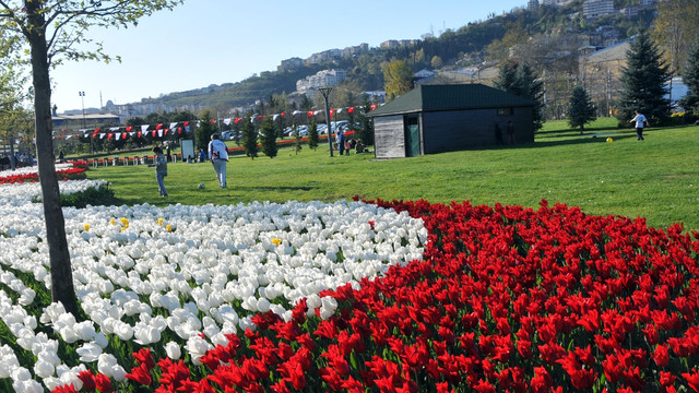 Kocaeli Geleneksel 9. Lale Festivali