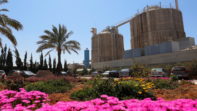 Lübnan'daki çöp sorunu