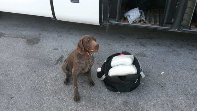 Manisa'da uyuşturucu operasyonu