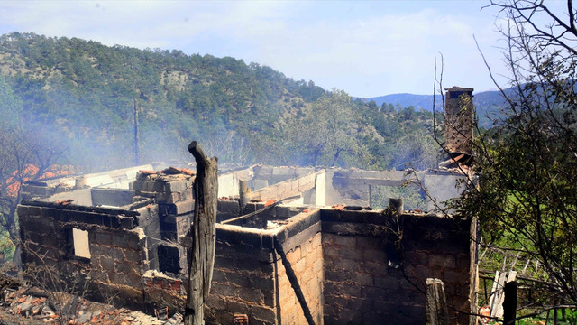 Muğlada orman yangını!