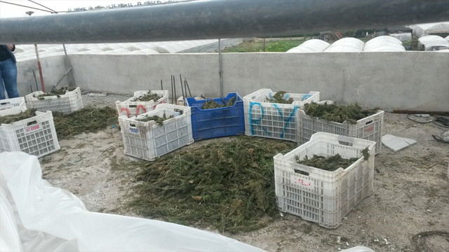Mersin'de uyuşturucu operasyonu