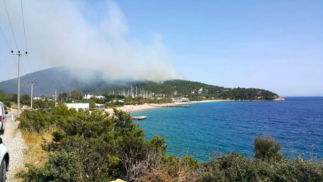 Muğla'da orman yangını