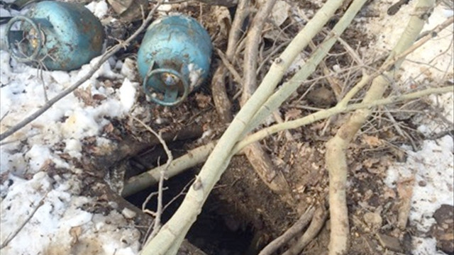 Muş'ta terör operasyonu