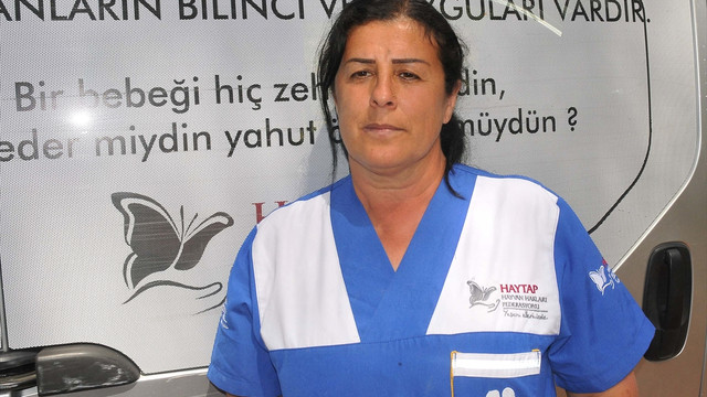 Ormana terk edilen yaralı eşek kurtarıldı