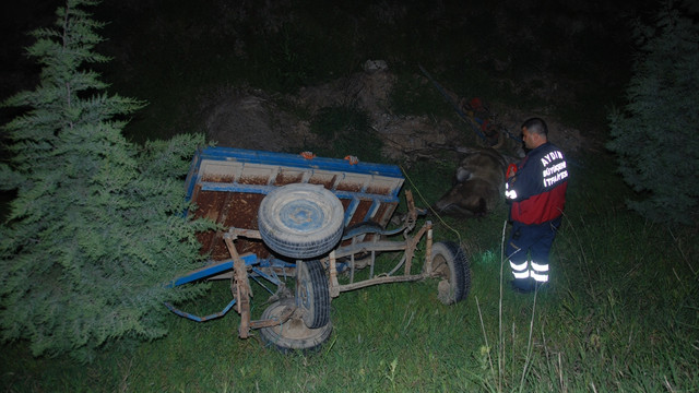 Otomobil at arabasına çarptı: 6 yaralı