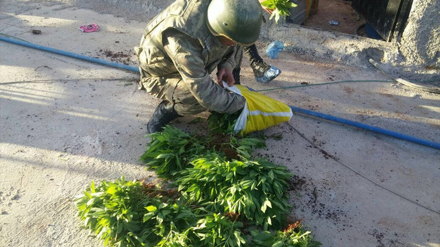 Şanlıurfa'da terör örgütü operasyonu