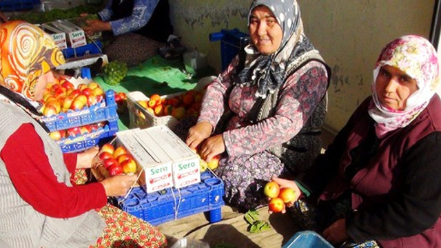 Nektarin hasadı üreticinin yüzünü güldürdü