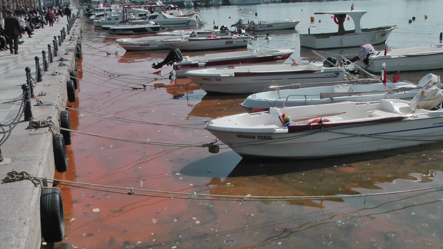 Silivri sahili kızıla büründü