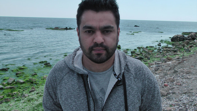 Silivri'de yunus karaya vurdu