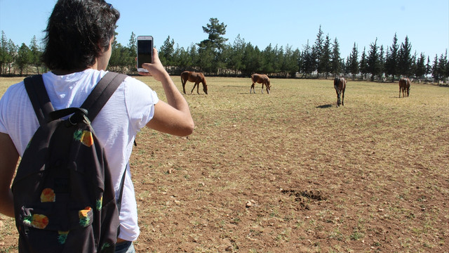 Sosyal medya fenomenleri Şanlıurfa'yı fotoğrafladı