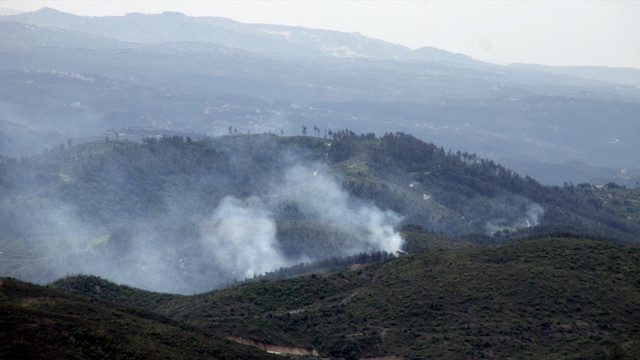 Suriye-Türkiye sınırındaki orman yangını