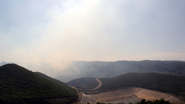 Suriye-Türkiye sınırındaki orman yangını