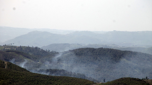 Türkiye - Suriye sınırındaki orman yangını