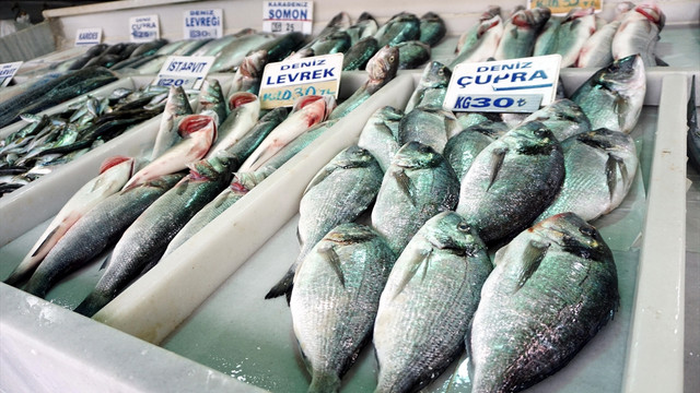 Tezgahlarda hamsinin yerini levrek ve çipura aldı