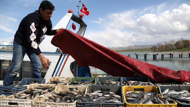 Van Gölü'nde av yasağı başladı