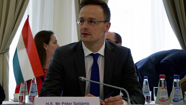 Vişegrad Dörtlüsü'nden Baltık ülkelerine askeri destek