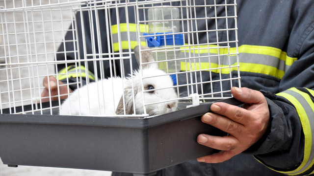 Yangın çıkan evde mahsur kalan hayvanlar kurtarıldı