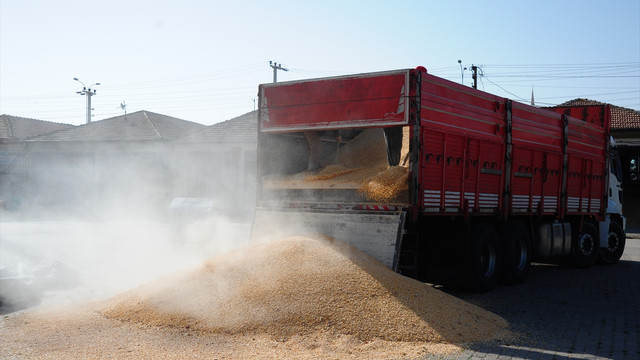 Yemlik mısırlar içinde kaçak sigara sevkiyatı