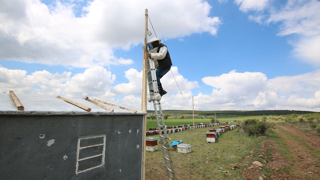 Arılarının güvenliği için kamera sistemi kurdu